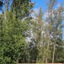 Hotel Resort & Golfe Clube Dos 500