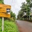 Cherilyn Monta
