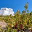 Blanca Luxury Villa