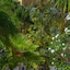 Hamlet Oasis Resort