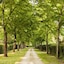 B&B Rovezzano