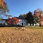Colonel Williams Inn