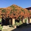 Mitkhoonyoum Hotel