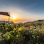 Villa Vinea