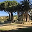 Agriturismo Il Poderino