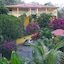 Hibiscus Heights