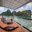 Orchid Trendy Cruise