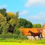 Gite L'archipel