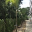 Bangkok Boutique Resort Rangsit