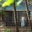 Palm Trees Ayurvedic Heritage