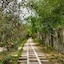 Sankofa Village Hill Resort And Spa