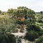 Leopard Nest - Glamping In Yala