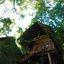 Amuna Ayurveda And Wellness Retreat