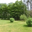 Ostseetraum Graal-Müritz