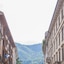 Alessia's Place