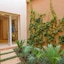 Riad Ayni