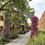 Tui Magic Life Calabria - All Inclusive
