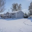 Colorado Springs Uccs Grey Cottagedog Friendly!