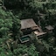 Buahan, A Banyan Tree Escape
