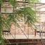 Lorf Hostel And Apartments
