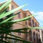 Roda Pearl Resort