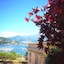 Bello!Lake Como Suites
