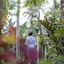 Vije Boutique Resort & Spa