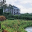 Swan Paradise A Pramana Experience
