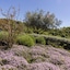 San Canzian Hotel & Residences - Small Luxury Hotels Of The World