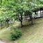 Camping Lac De Villefort