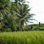 Hideaway Villas Bali – Ubud By Kanaan Hospitality