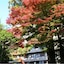 Okuyugawara Onsen Sansuirou
