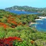 Rodney Bay
