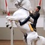 Spanische Hofreitschule