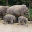 Züricher Zoo