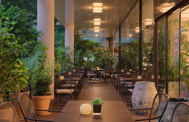 Restaurants - 6