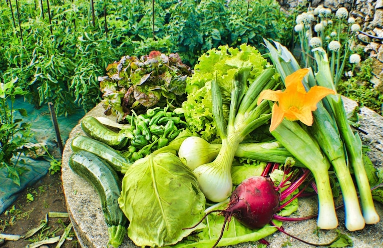 Restaurants - 5