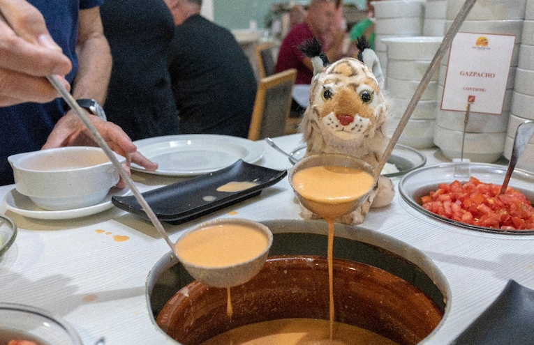 Restaurants - 5