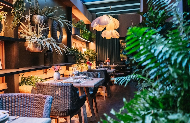 Restaurants - 4