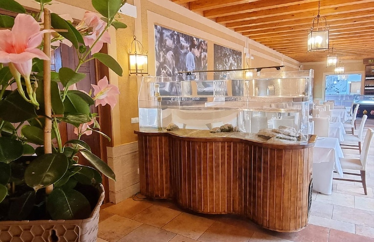 Restaurants - 11