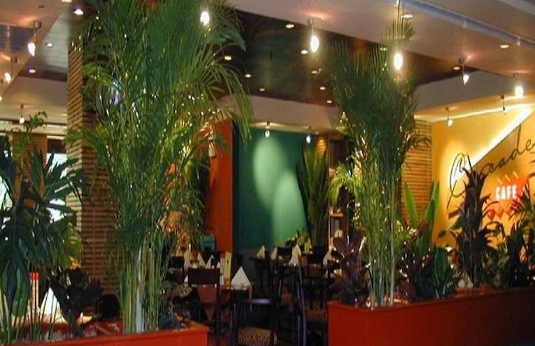 Restaurants - 2