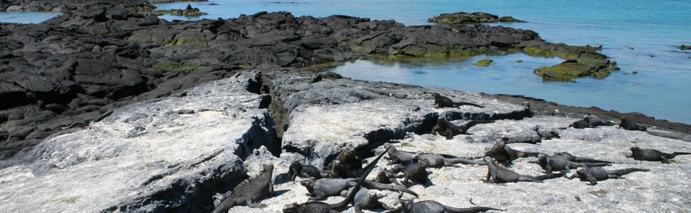 Reiseroute der Kreuzfahrt  Galapagos Inseln - Silversea