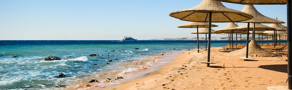 Reiseroute der Kreuzfahrt  Nicko Cruises Große Weltreise 2024 - Nicko Cruises