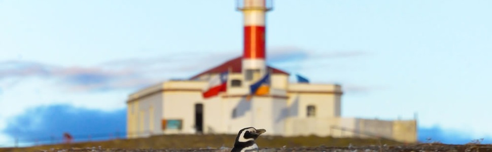 Reiseroute der Kreuzfahrt  Auf den Spuren von Darwin ab Punta Arenas - Australis