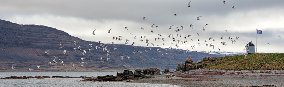 Reiseroute der Kreuzfahrt  Von Tromsö (Norwegen) nach Reykjavik (Island) - Silversea