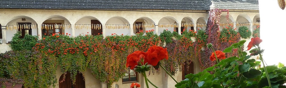 Reiseroute der Kreuzfahrt  Von Giurgiu  nach Vilshofen - AmaWaterways