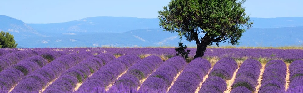 Reiseroute der Kreuzfahrt  Frankreich, Italien - Silversea