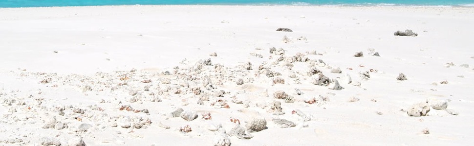 Reiseroute der Kreuzfahrt  Südafrika, Madagaskar, Mauritius - Regent Seven Seas